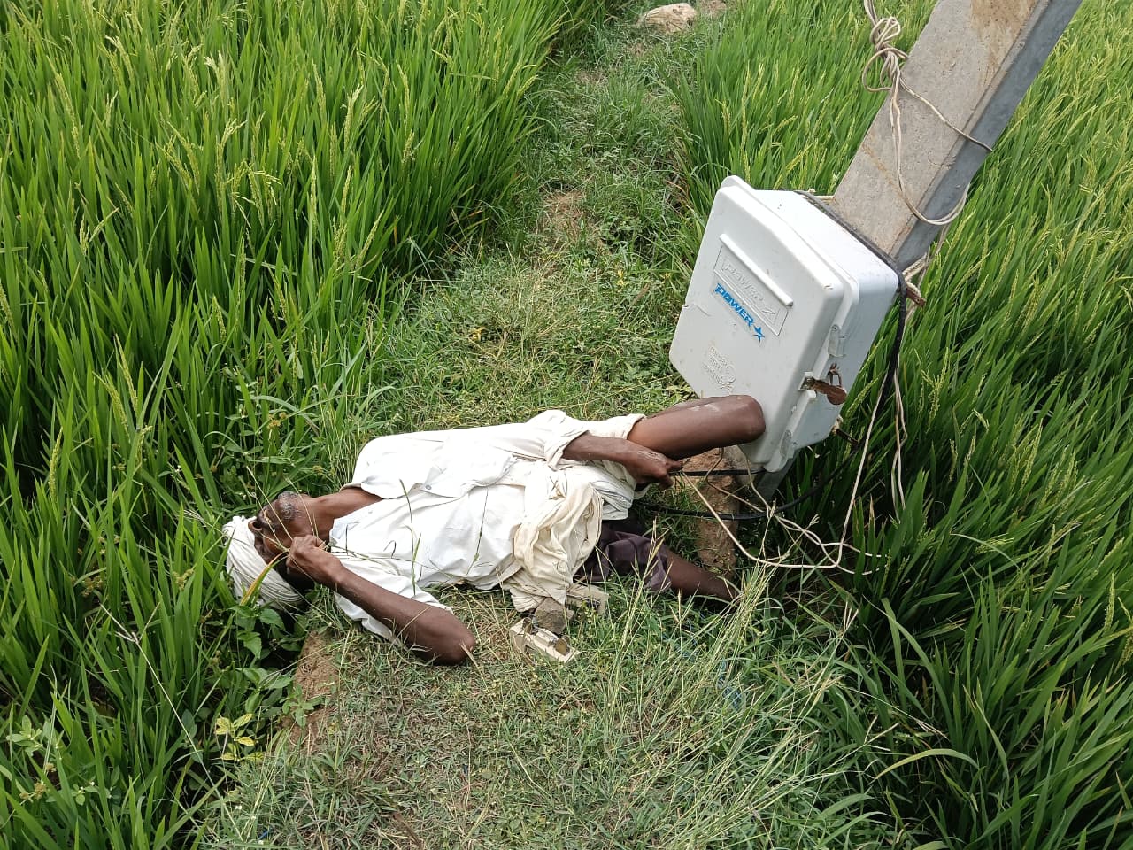 Farmer Died Due to Electric Shock టేక్మాల్ లో కరెంట్ షాక్ తో రైతు మృతి