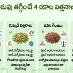 Weight Loss Tips : బరువు తగ్గాలా? ఈ 4 రకాల విత్తనాలతో కొవ్వును కరిగించేయండి!