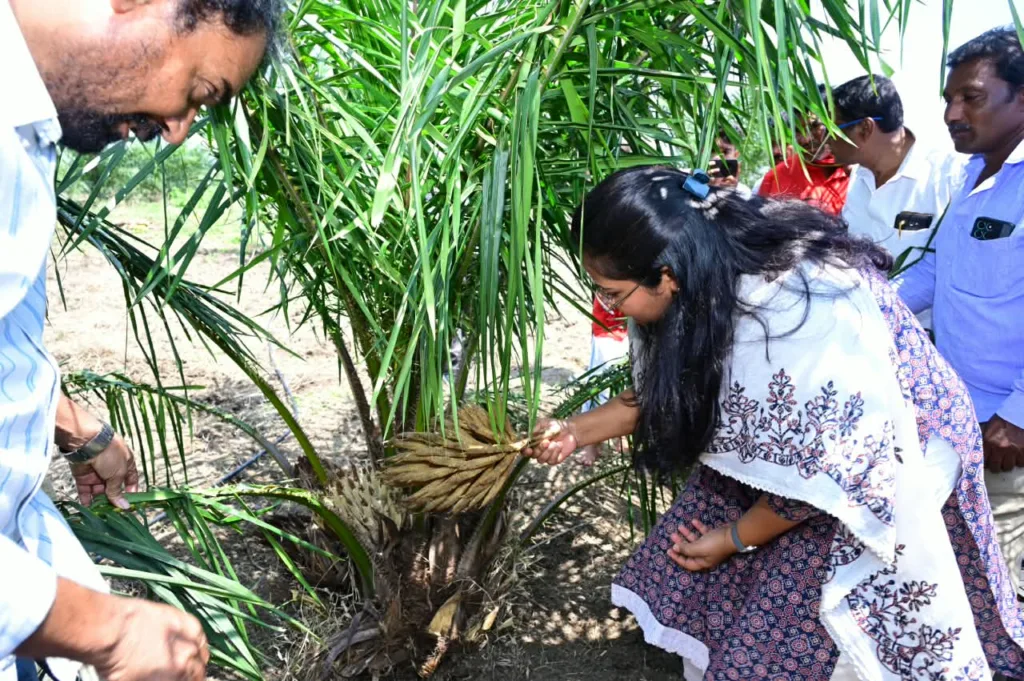 రైతులు ప్రత్యామ్నాయ పంటలు సాగు చేయాలి: కలెక్టర్ ప్రతిమా సింగ్ రైతులు ప్రత్యామ్నాయ పంటలు సాగు చేయాలి: కలెక్టర్ ప్రతిమా సింగ్