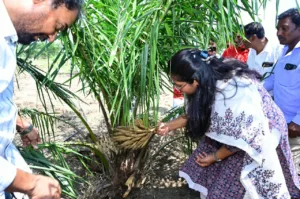 అల్మాయిపేటలో ఘనంగా దుర్గామాత విగ్రహ ప్రతిష్ఠాపన: శరన్నవరాత్రి ఉత్సవాలు ప్రారంభం